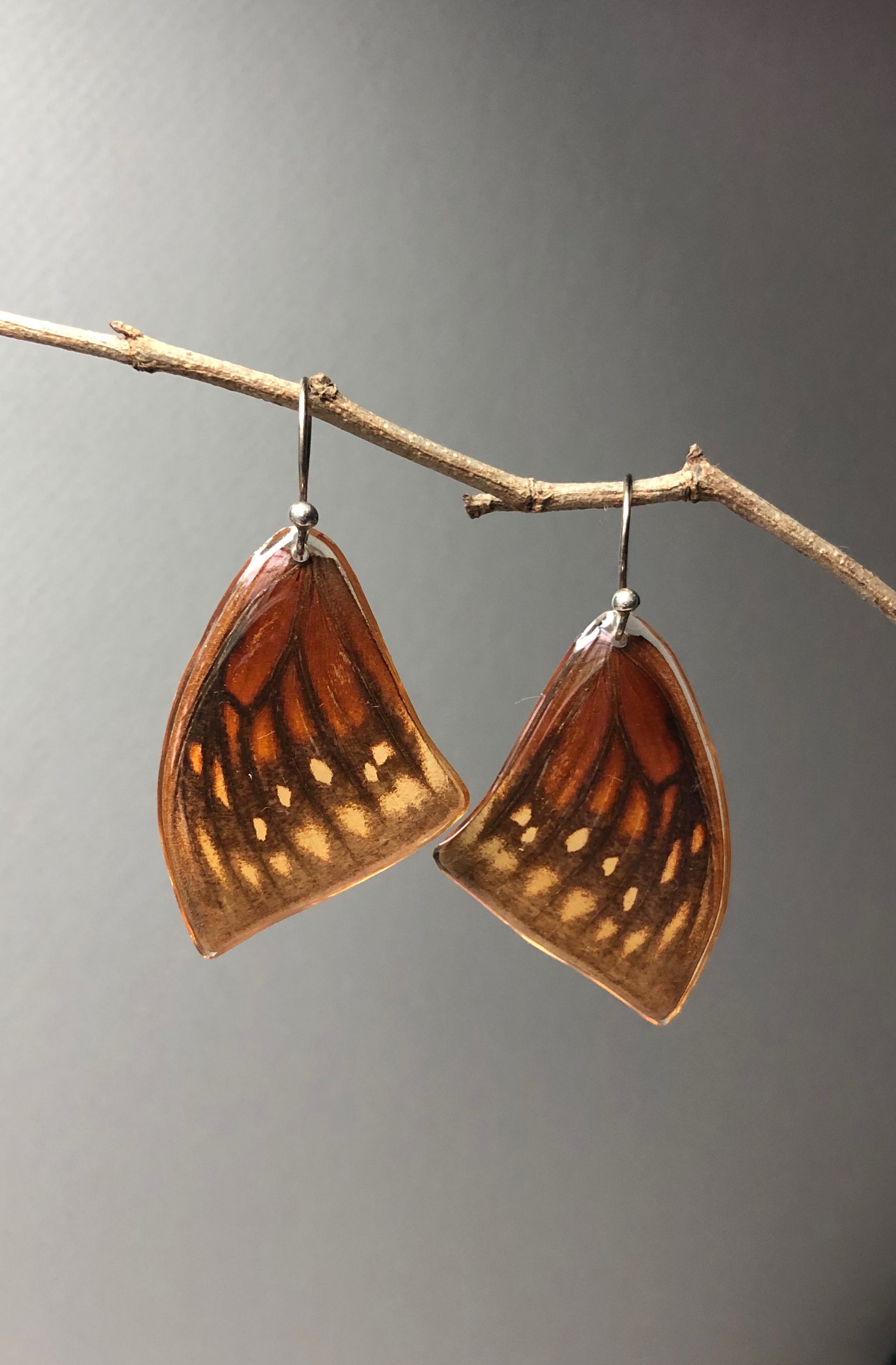 Nobilis Earrings. Sterling Silver