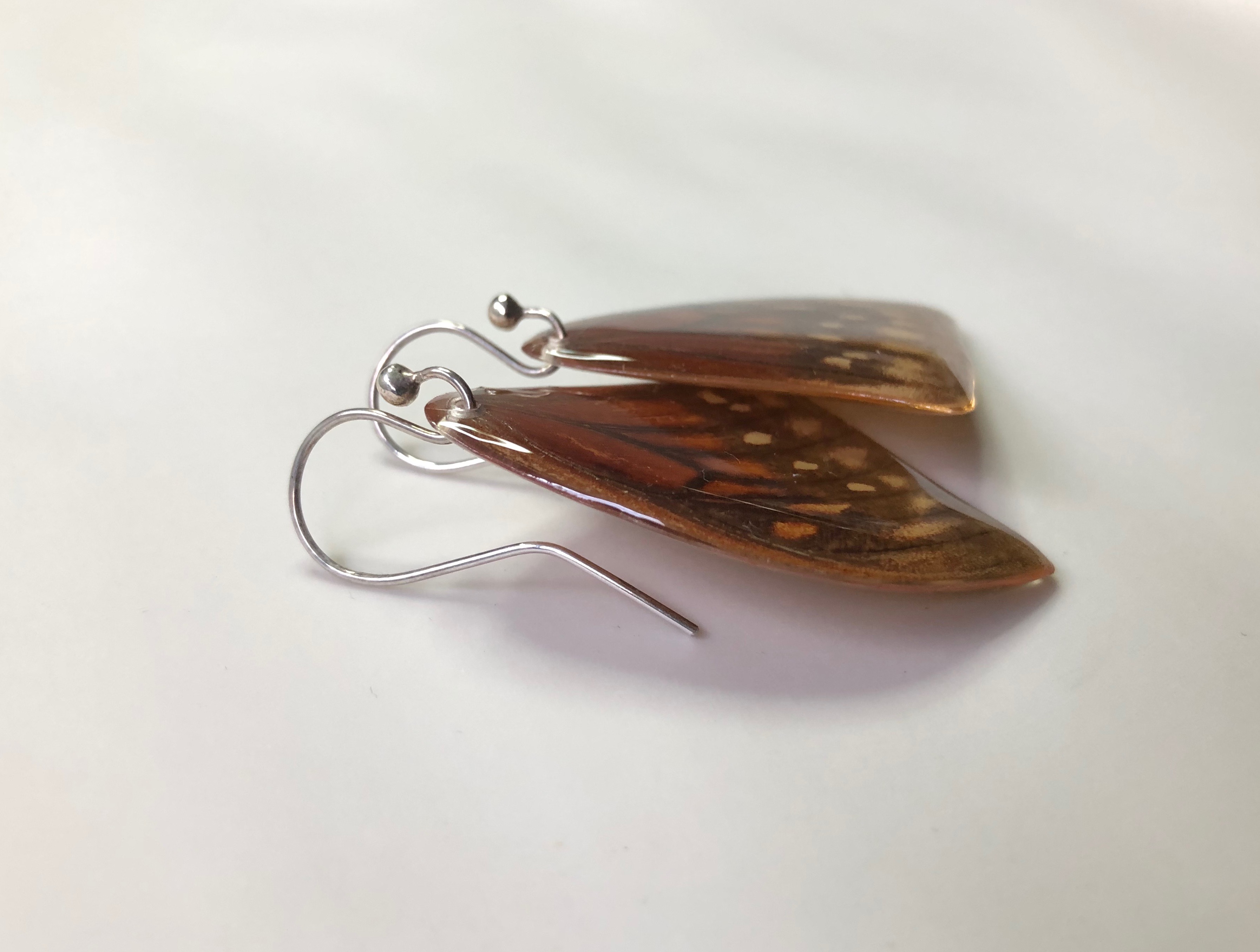 Nobilis Earrings. Sterling Silver
