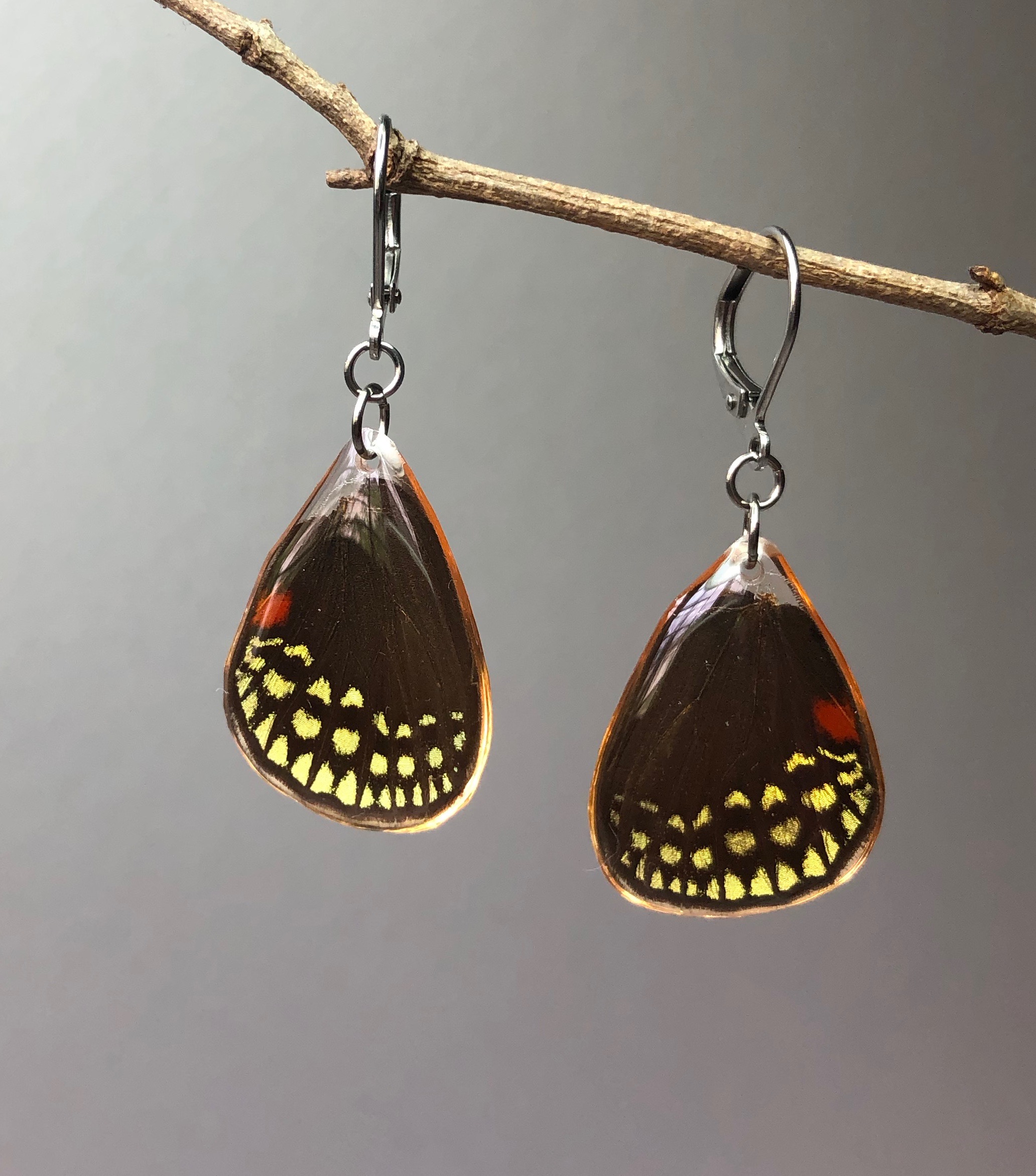 Cycadian Butterfly in Stainless Steel