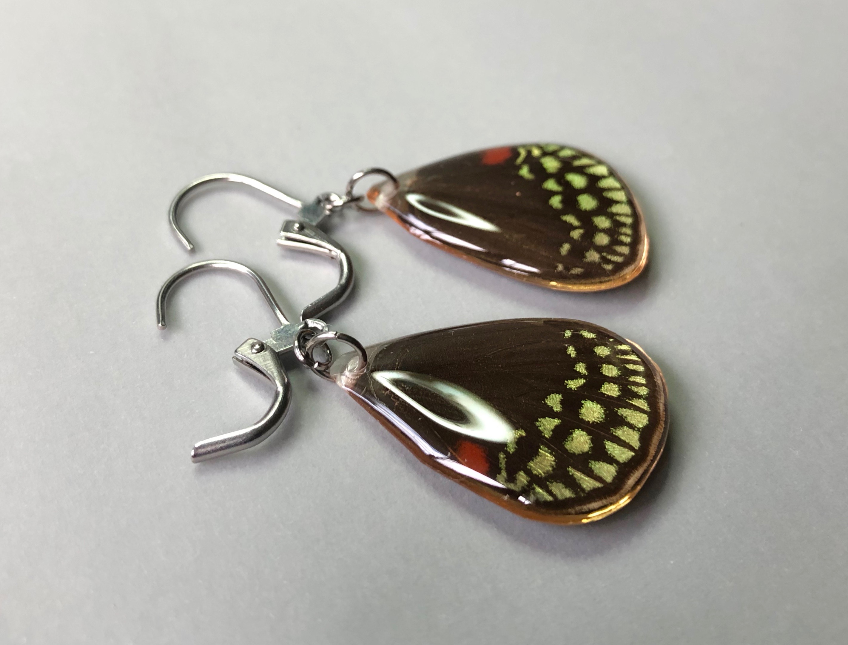 Cycadian Butterfly in Stainless Steel