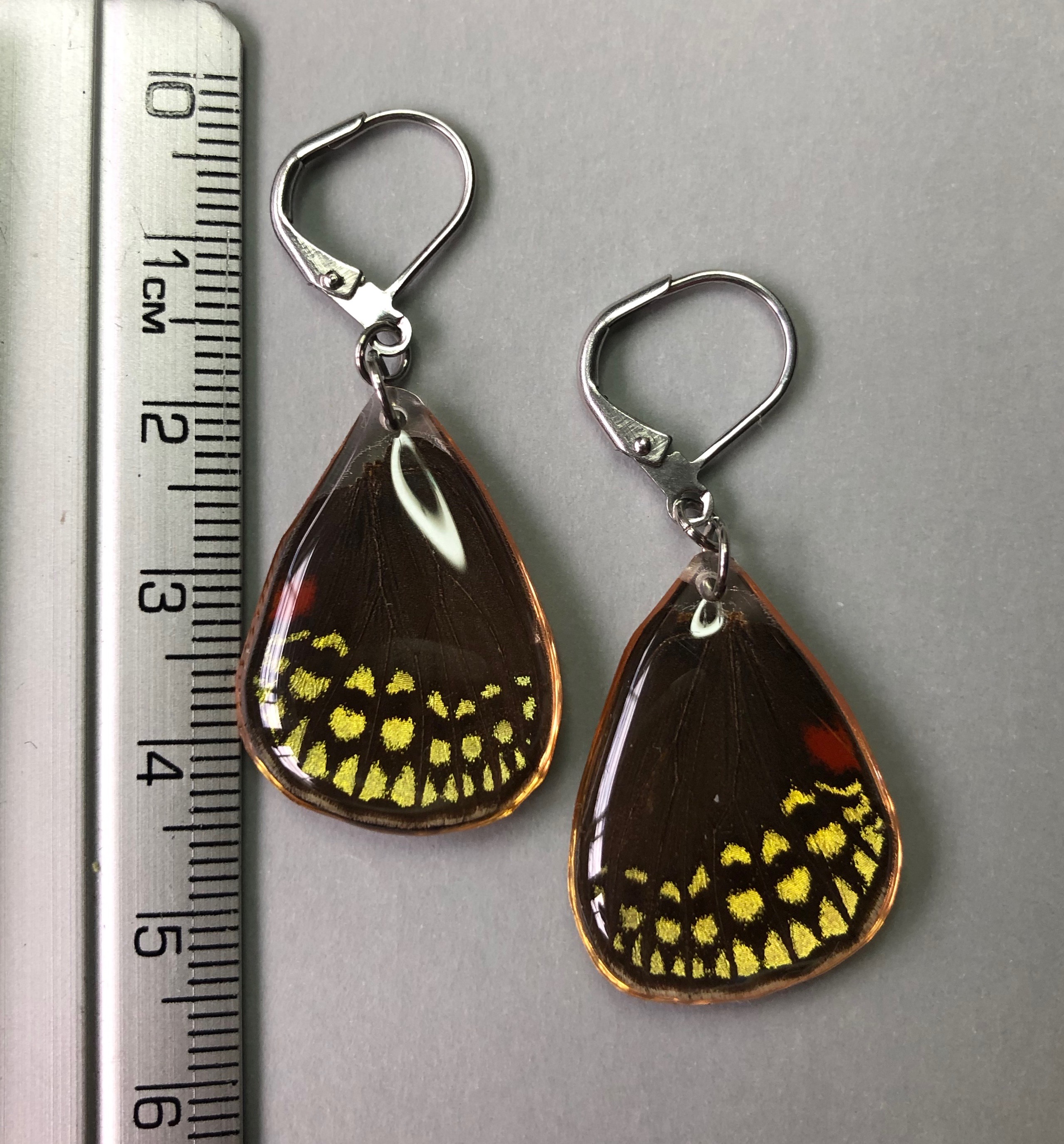 Cycadian Butterfly in Stainless Steel