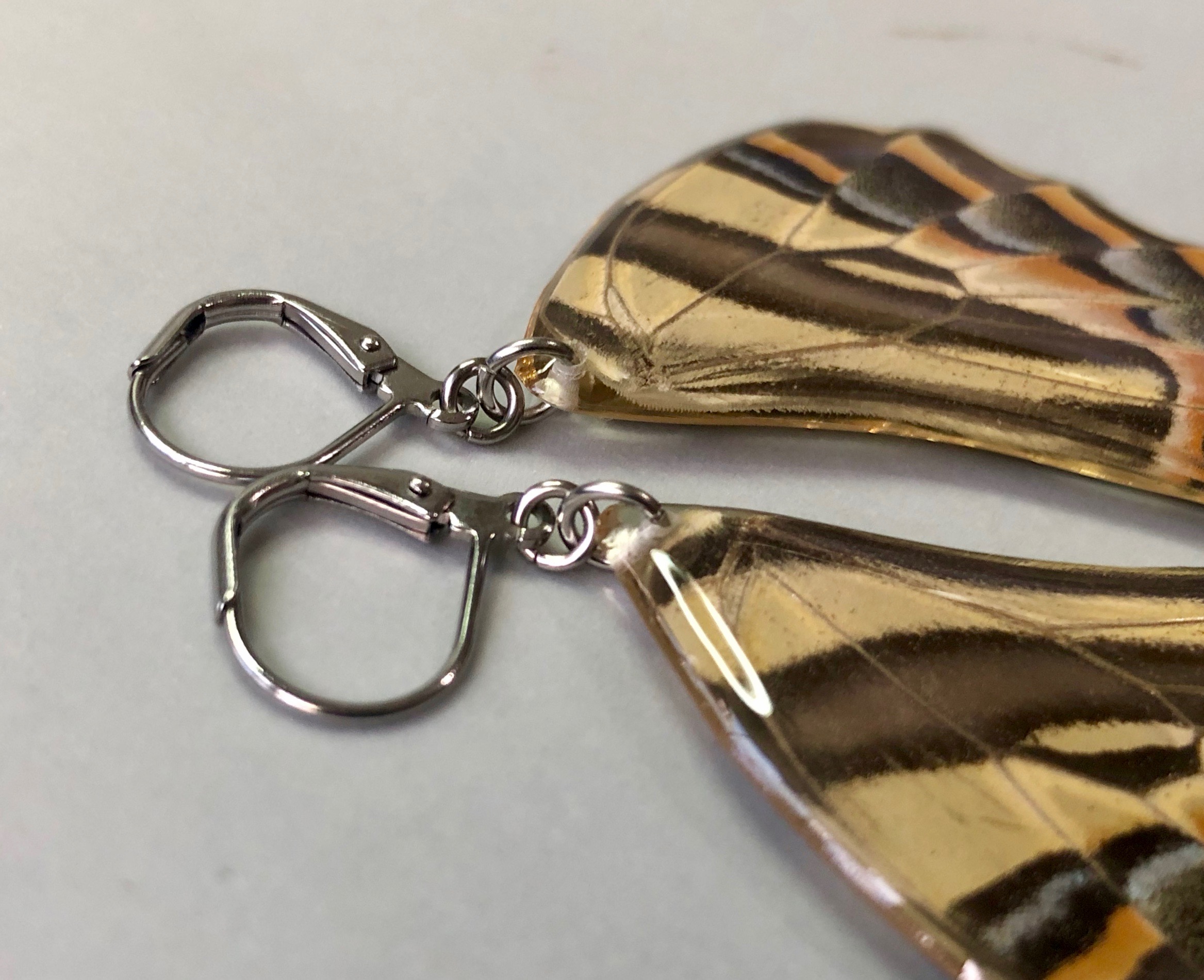 Papilio pilumnus. Stainless Steel