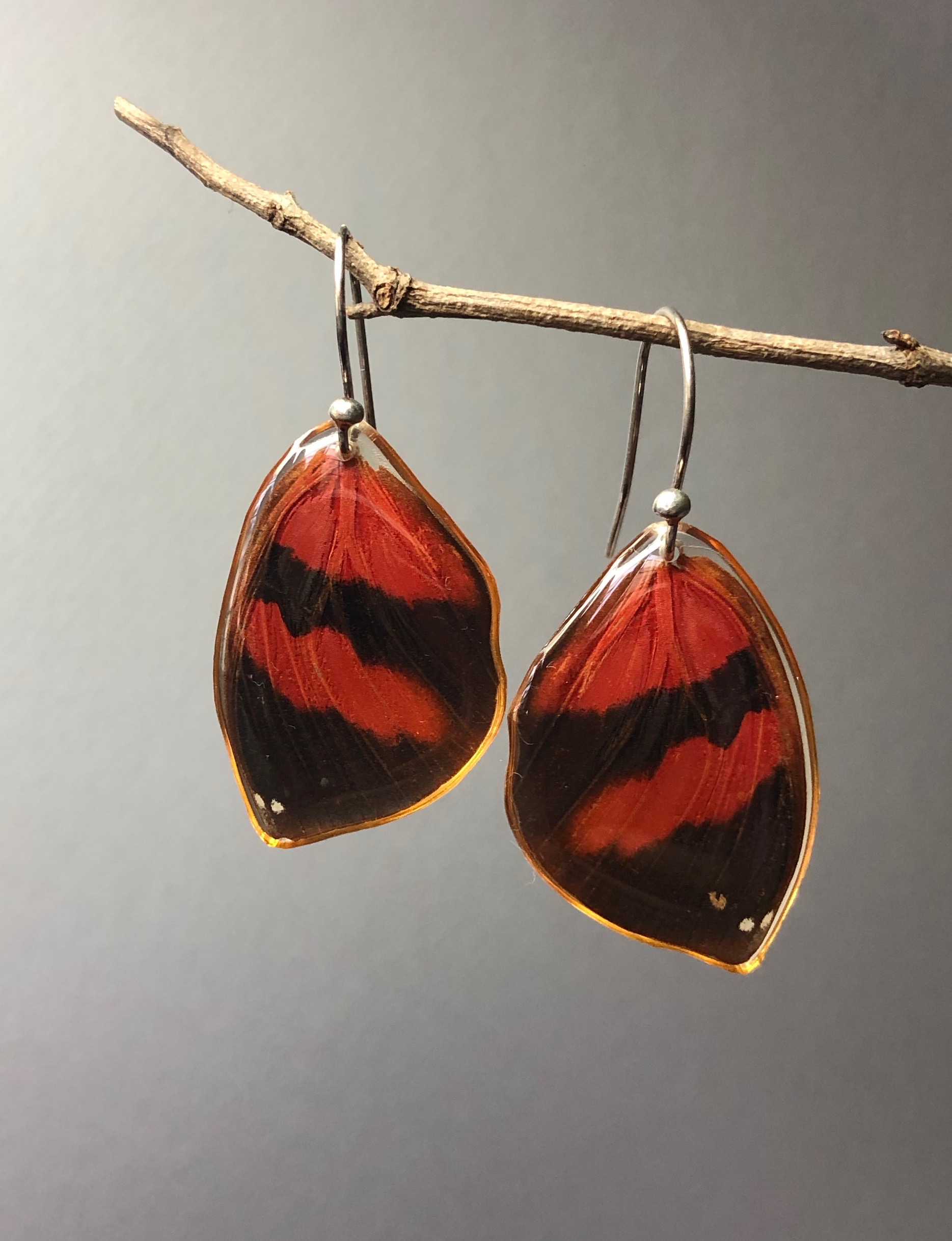 Siderone Earrings, Sterling Silver