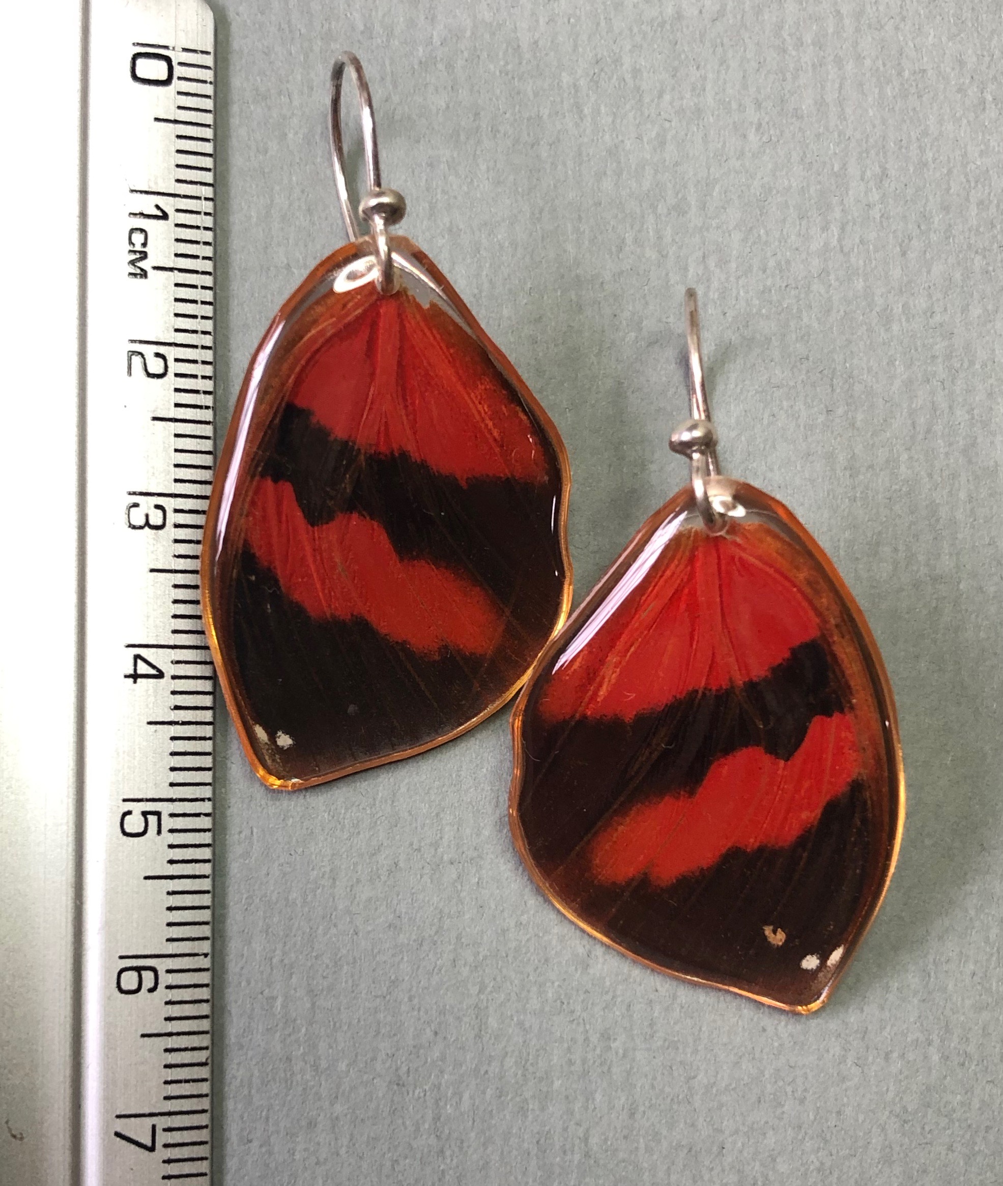 Siderone Earrings, Sterling Silver