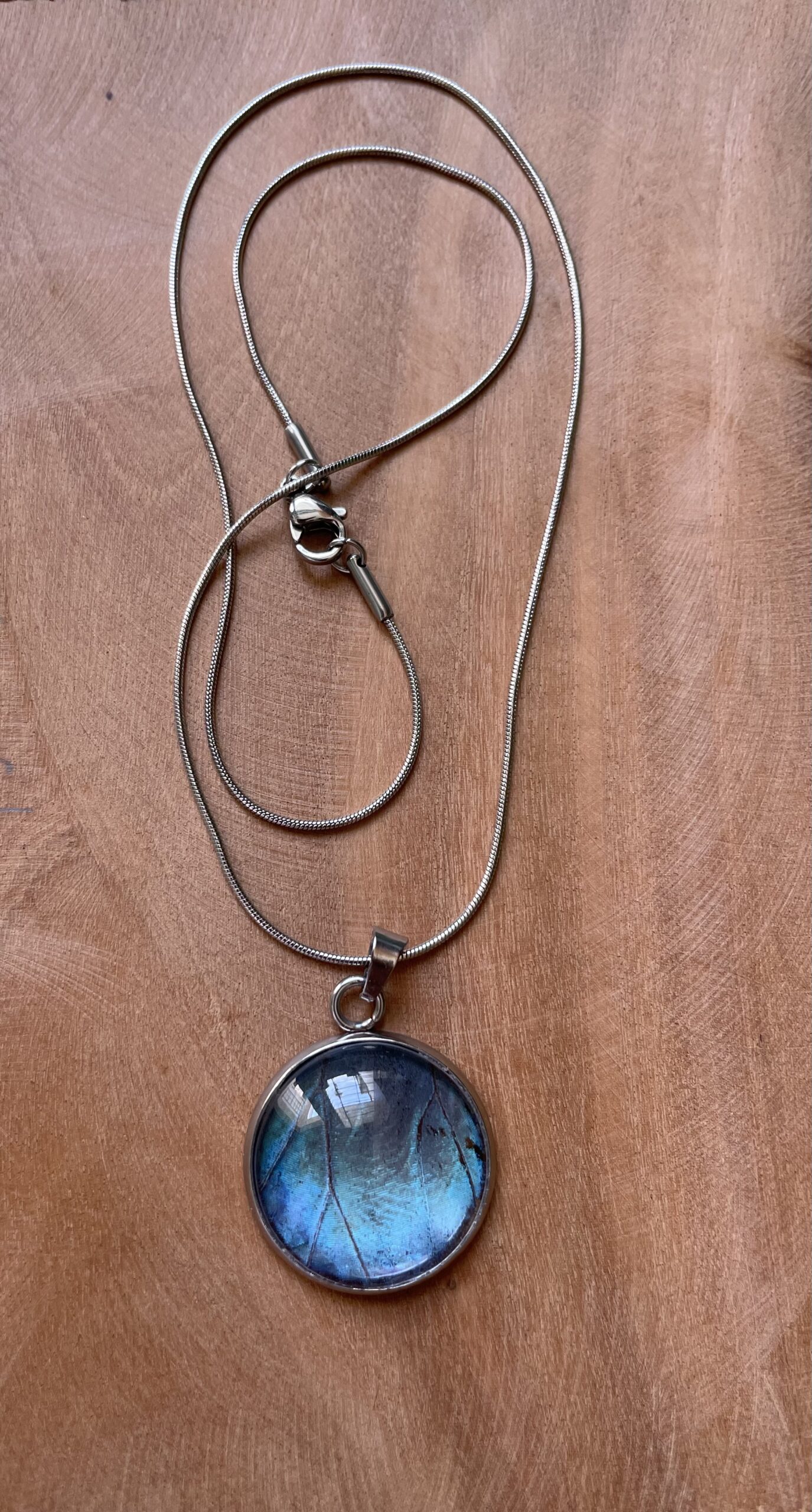 Stainless Steel Glass Blue Morpho necklace